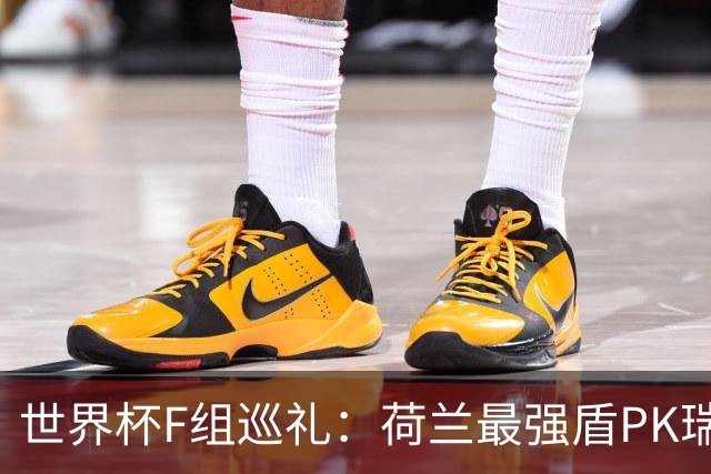 世界杯F组巡礼：荷兰最强盾PK瑞典犀利刀 日本短板明显